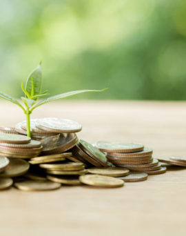 planting-trees-coin-pile-with-sunlight_1150-17740